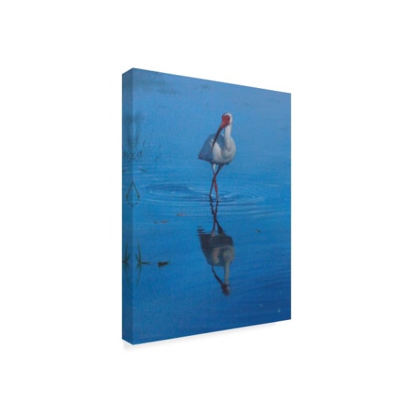 Michael Jackson 'White Ibis' Canvas Art,14x19